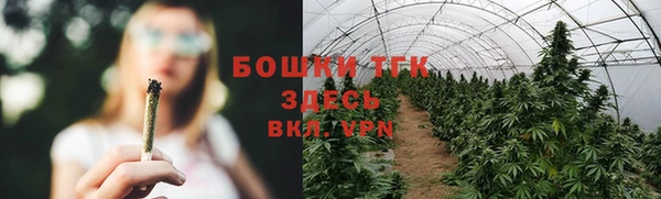 сатива Балабаново