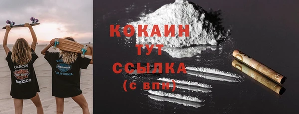 сатива Аркадак