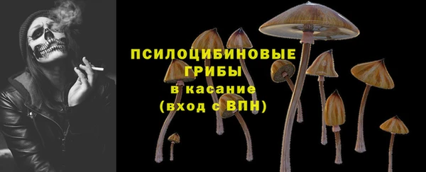 сатива Балабаново