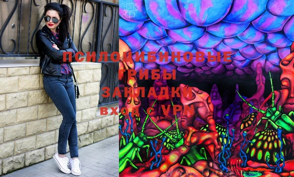 эйфоретик Надым