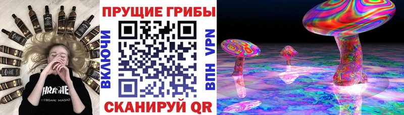 Псилоцибиновые грибы мицелий  как найти закладки  mega рабочий сайт  Кущёвская 